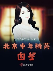 北京中年精英图鉴章节列表