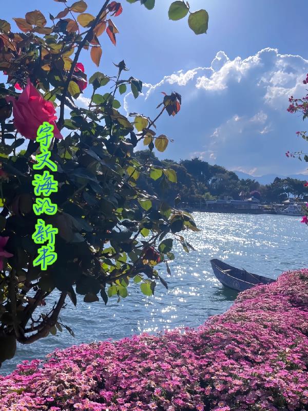 宇文海章节列表