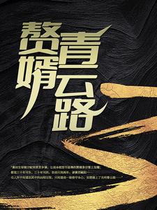 赘婿青云路章节列表