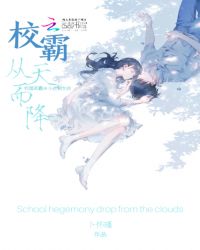 校霸从天而降章节列表